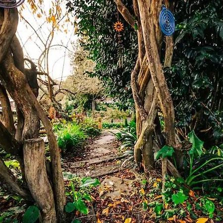 Starry Nights Cabin Fever Waikino المظهر الخارجي الصورة
