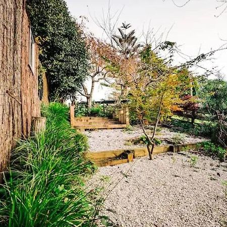 Starry Nights Cabin Fever Waikino المظهر الخارجي الصورة