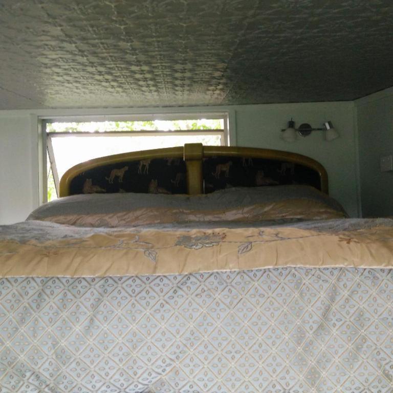 Starry Nights Cabin Fever Waikino الغرفة الصورة