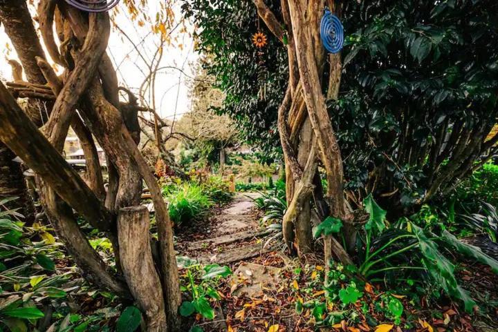 Starry Nights Cabin Fever Waikino المظهر الخارجي الصورة