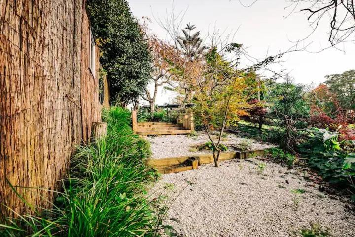 Starry Nights Cabin Fever Waikino المظهر الخارجي الصورة