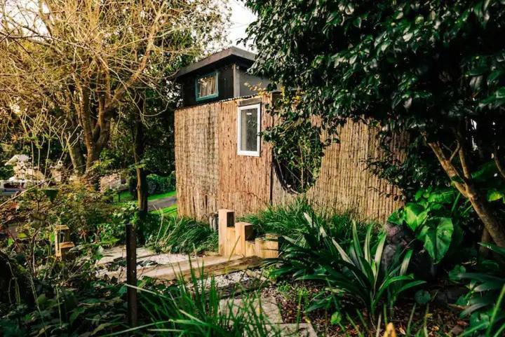 Starry Nights Cabin Fever Waikino المظهر الخارجي الصورة