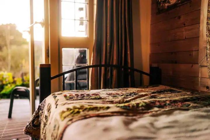 Starry Nights Cabin Fever Waikino المظهر الخارجي الصورة