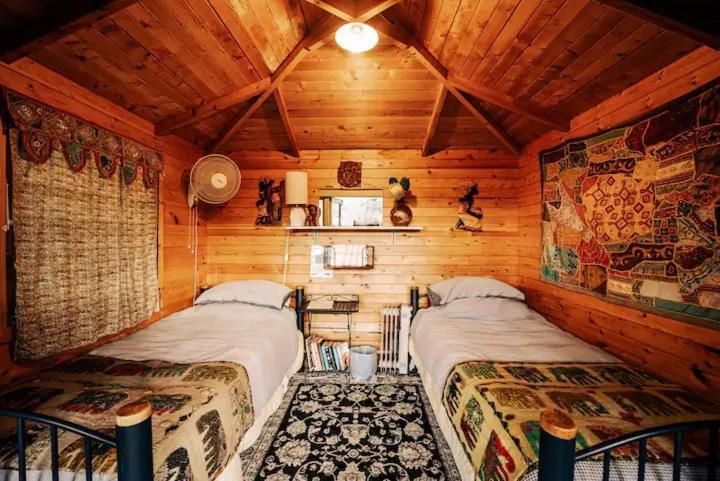 Starry Nights Cabin Fever Waikino الغرفة الصورة