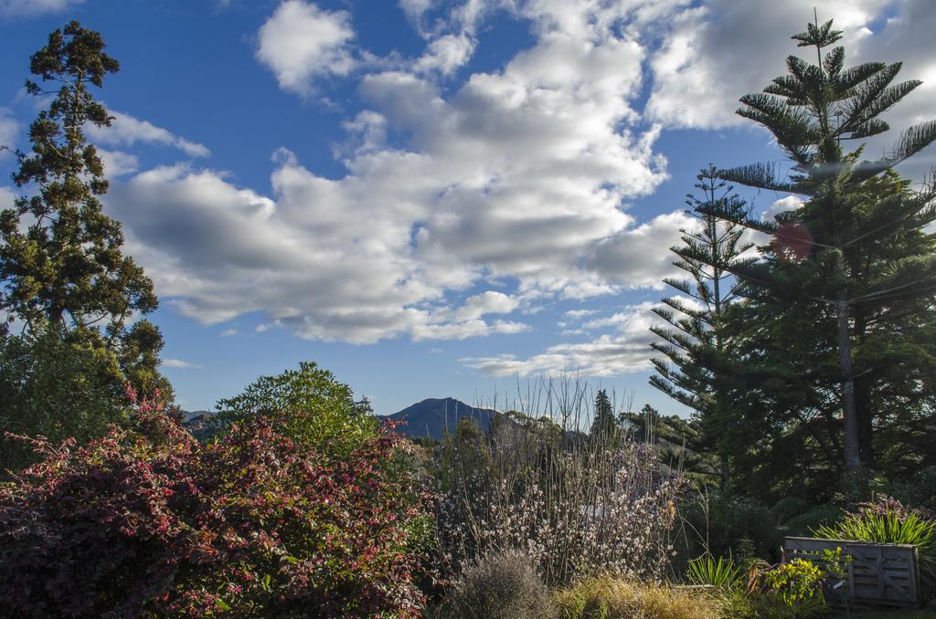 Starry Nights Cabin Fever Waikino المظهر الخارجي الصورة