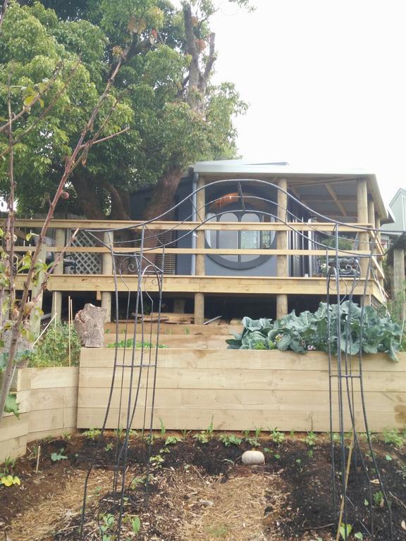 Starry Nights Cabin Fever Waikino المظهر الخارجي الصورة
